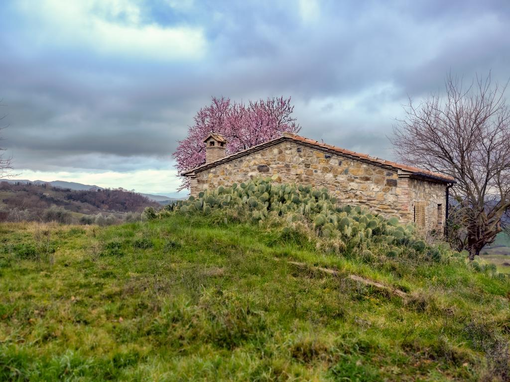 Agriturismo Le Canterie Radicondoli ภายนอก รูปภาพ