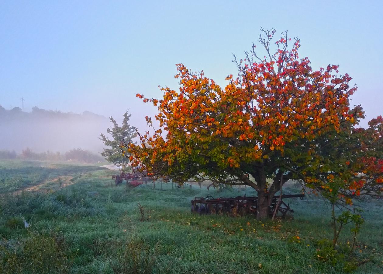 Agriturismo Le Canterie Radicondoli ภายนอก รูปภาพ