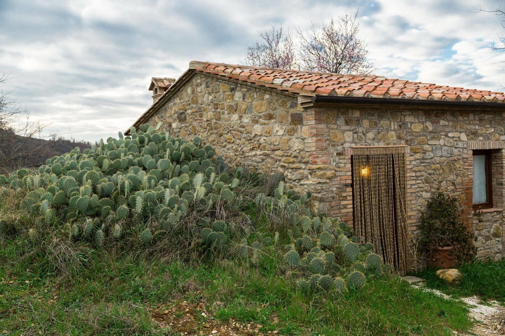 Agriturismo Le Canterie Radicondoli ภายนอก รูปภาพ
