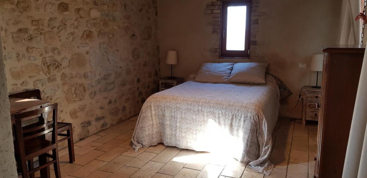 Agriturismo Le Canterie Radicondoli ภายนอก รูปภาพ